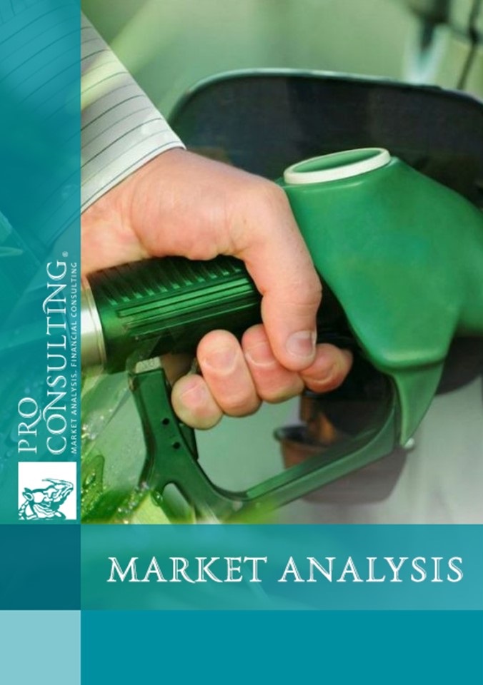 Analysis of the bioethanol market in Ukraine. 2024 year